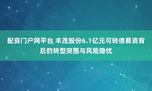 配资门户网平台 丰茂股份6.1亿元可转债募资背后的转型突围与风险隐忧